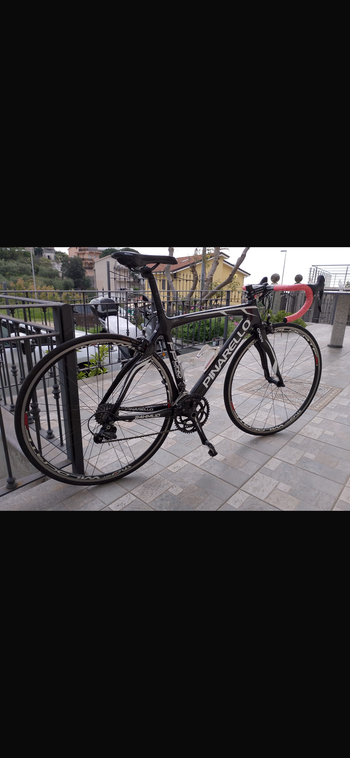 Used Pinarello Pinarello Custom Other 2011 Road & Gravel
