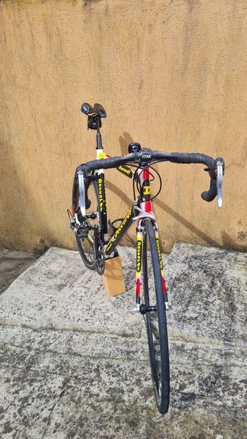 Daccordi 2014 Road & Gravel d'occasion — image 2 sur 5