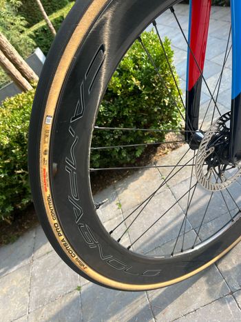 Used Trek Madone Campagnolo Super Record EPS 2026 Road & Gravel, Red — image 6 of 9