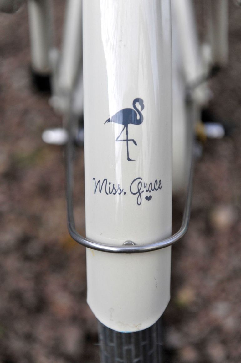 Used Gazelle Miss Grace C7 HMB Low-Step 2022 2022 Urban — image 11 of 13