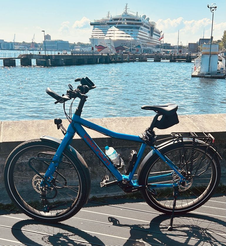 Used Velotraum Velotraum Custom Pinion P-Line Gearbox 2024 Urban, Blue — image 8 of 8