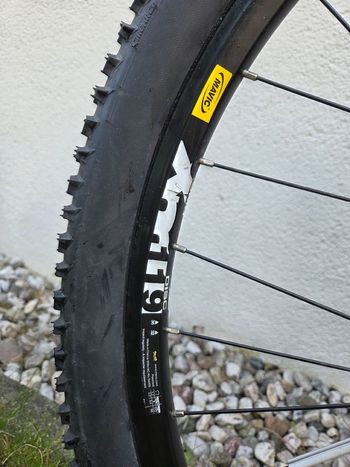 Used Univega Alpina Other Shimano - Mountainbike 2011 Mountainbike, Black — image 10 of 14