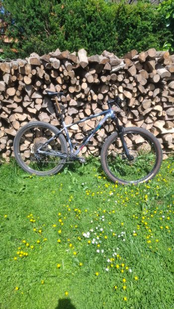 Used Specialized Specialized Chisel 2023 MTB