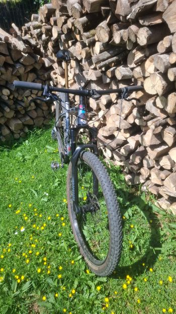 Used Specialized Specialized Chisel 2023 Mountainbike, Hellgrau — image 2 of 4
