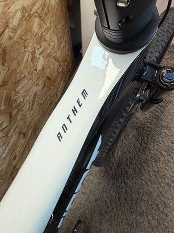 Used Giant Anthem Sram Eagle Transmission X0 2026 Mountainbike, Weiß — image 5 of 6