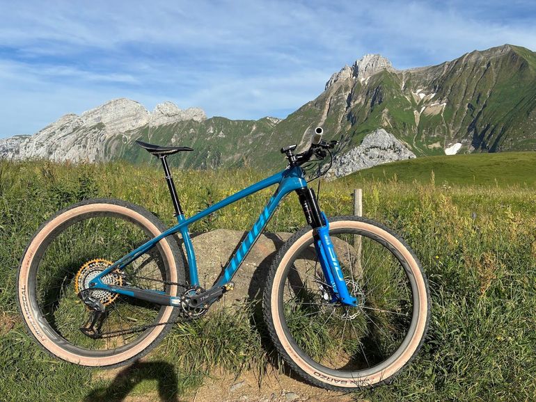 Used Niner Air Frameset 2023 Mountainbike — image 3 of 4