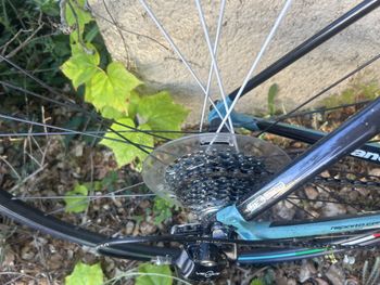 Used Bianchi BIANCHI SEMPRE 2014 Road & Gravel, Blau — image 10 of 29