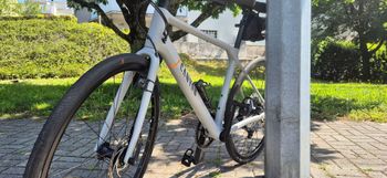 Used Canyon Roadlite CF 8 2023 2023 Urban — image 2 of 9
