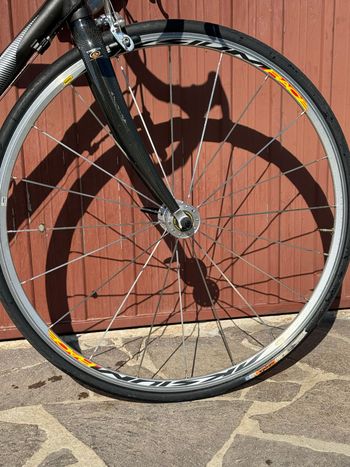 Used Merida Merida Custom Campagnolo Veloce 2009 Road & Gravel — image 4 of 9