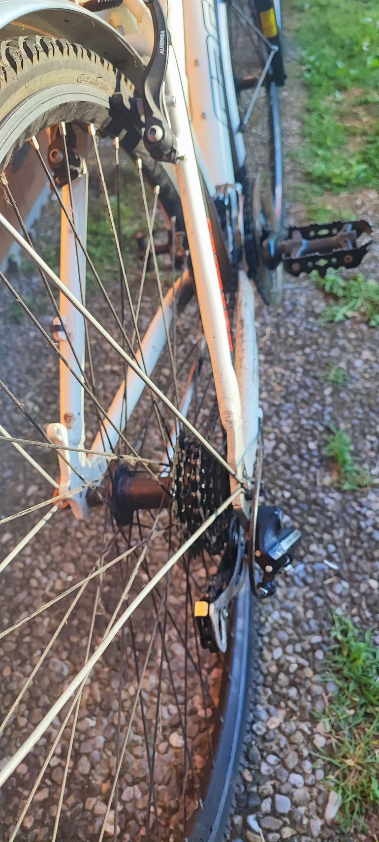 Used Carraro Donna Azimut Cfs 2020 Mountainbike — image 2 of 5