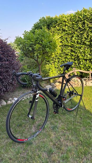 Used Goomah Goomar Exploit Carbon 2019 Road & Gravel — image 14 of 14