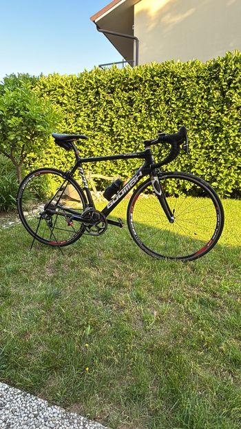 Used Goomah Goomar Exploit Carbon 2019 Road & Gravel