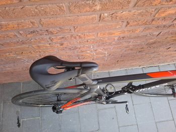 Used Wilier CENTO10 SL 2023 2023 Road & Gravel, Schwarz — image 3 of 5