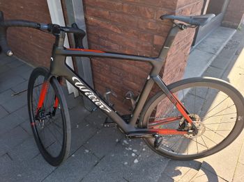 Used Wilier CENTO10 SL 2023 2023 Road & Gravel