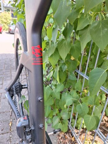 Used AVENGER Avenger TM6 DI2 2018 Road & Gravel, Black — image 2 of 12