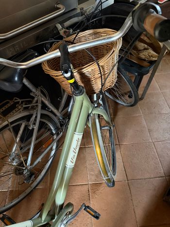 Used via Veneto Via Veneto Custom 2024 Urban & Touring