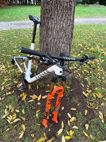 Used Canyon Canyon Lux CF SLX 9 Team Shimano XTR 2021 Mountainbike — image 3 of 4