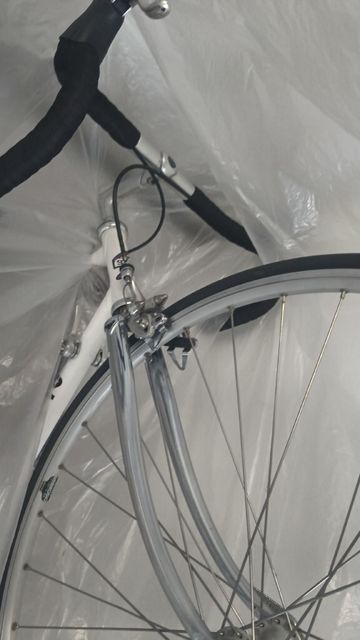 Used SCAPIN Custom Other Campagnolo 1986 Road & Gravel, White — image 8 of 10