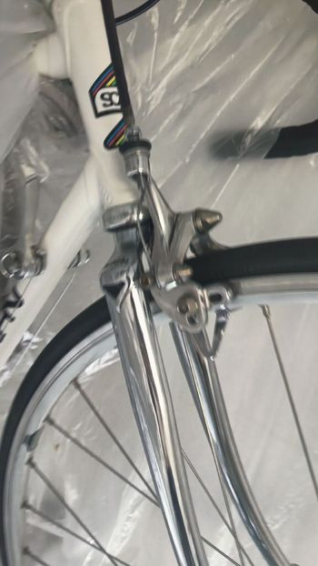 Used SCAPIN SCAPIN Custom Other Campagnolo 1986 Road & Gravel, Blanco — image 9 of 10