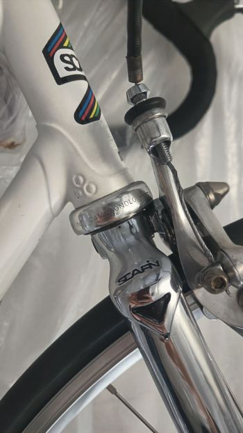 Used SCAPIN SCAPIN Custom Other Campagnolo 1986 Road & Gravel, Blanco — image 6 of 10