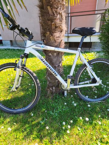 Tweedehands Bianchi Custom Shimano Acera 2010 MTB