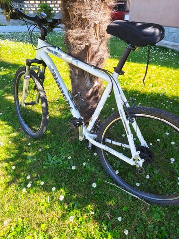 Used Bianchi Custom Shimano Acera 2010 Mountainbike, White — image 2 of 3