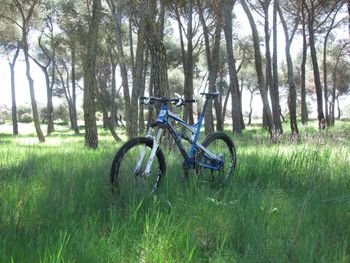 Used Lapierre 214 2011 MTB