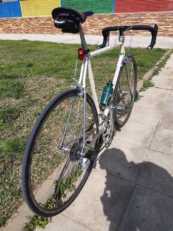 Used contini Contini Custom Campagnolo Athena 1990 Road & Gravel — image 5 of 27