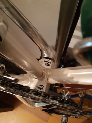 Used contini Contini Custom Campagnolo Athena 1990 Road & Gravel — image 8 of 27