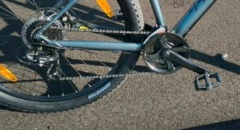 Used Bergamont Revox 2 2024 2024 Mountainbike, Light Gray, 29 — image 3 of 3