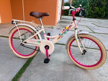 Used Cicli Adriatica Cicli Adriatica Custom 2024 Kids & Youth
