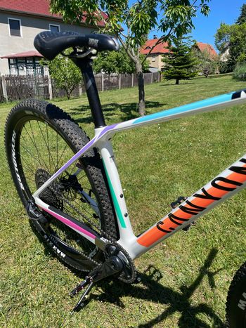 Used Canyon Exceed CF 7 2022 2022 Mountainbike, White, 29 — image 2 of 5