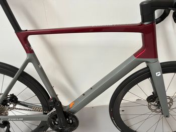 Used Focus IZALCO MAX 8.9 2024 2024 Road & Gravel