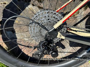 Used Wilier Rave SLR - Gravel CAMPAGNOLO EKAR 2023 2023 Road & Gravel, Green — image 3 of 5