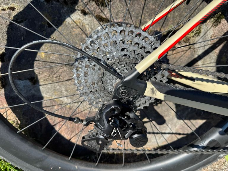Used Wilier Rave SLR - Gravel CAMPAGNOLO EKAR 2023 2023 Road & Gravel, Green — image 3 of 5
