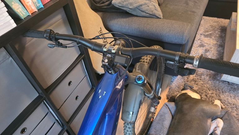 Used YT Industries Decoy CORE 5 CF MX 2024 2024 Mountainbike — image 5 of 7