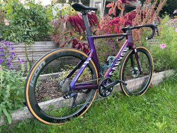 Used Canyon Aeroad CF SLX 8 Di2 2024 2024 Road & Gravel, Violett — image 11 of 12