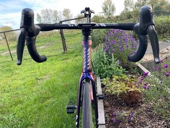Used Canyon Aeroad CF SLX 8 Di2 2024 2024 Road & Gravel, Violett — image 4 of 12