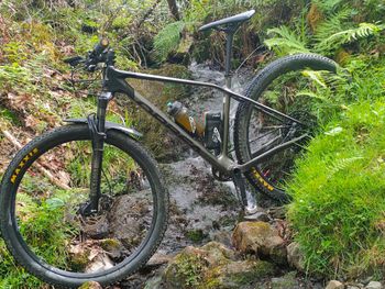 Used Orbea ALMA M50 EAGLE 2021 2021 Mountainbike, Light Gray, 29 — image 2 of 5