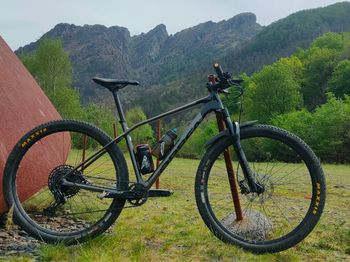 Used Orbea ALMA M50 EAGLE 2021 2021 MTB