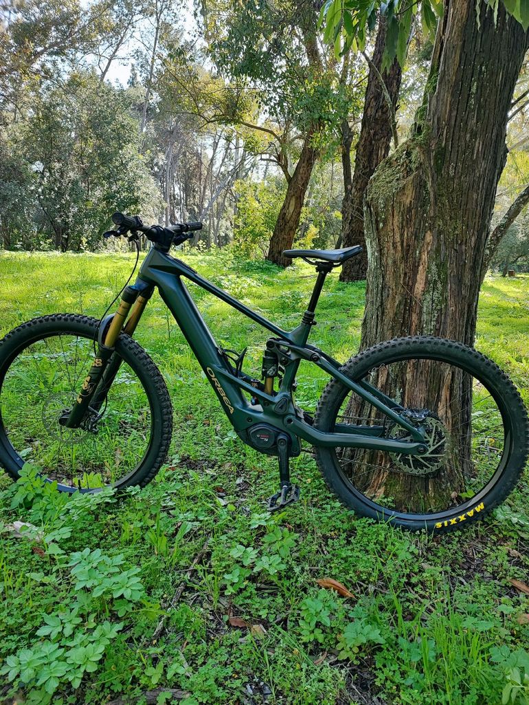 Used Orbea WILD M-TEAM 2025 2025 Mountainbike, Green — image 2 of 5
