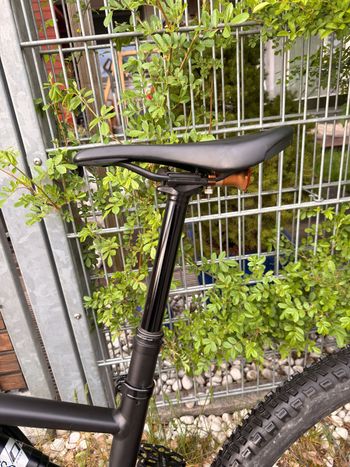 Used Specialized Stumpjumper Alloy 2021 2021 Mountainbike, Black, 29 — image 9 of 11