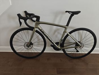 Used Specialized Tarmac SL7 Comp - Shimano 105 Di2 2025 2025 Road & Gravel, Green — image 2 of 9