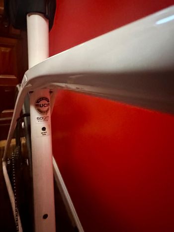 Used Trek Domane SL 5 2020 2020 Road & Gravel, White — image 3 of 6