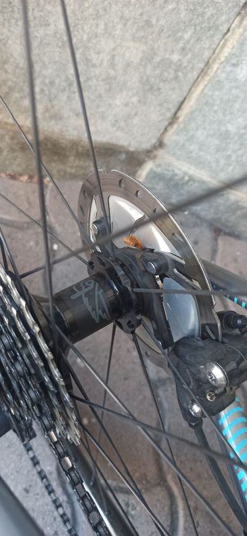 Used Wilier Custom Shimano Ultegra 2021 Road & Gravel, Light Gray — image 7 of 7