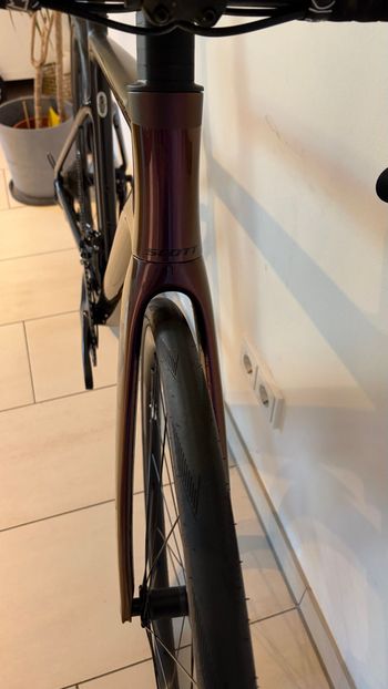 Used Scott Contessa Addict 25 2024 2024 Road & Gravel, Purple — image 6 of 13