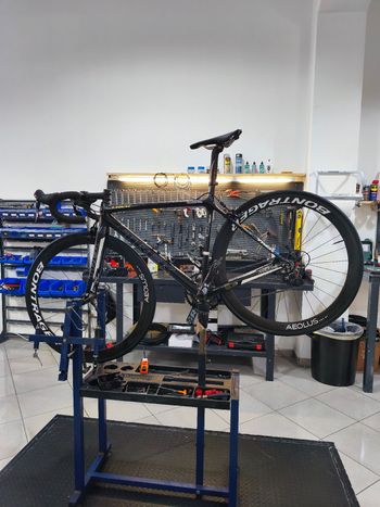 Used Trek Trek Madone Carbonio 2012 Route & Gravel