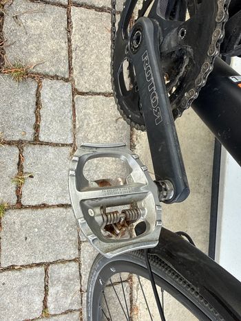 Used Canyon Endurace WMN AL 6.0 2021 2021 Road & Gravel