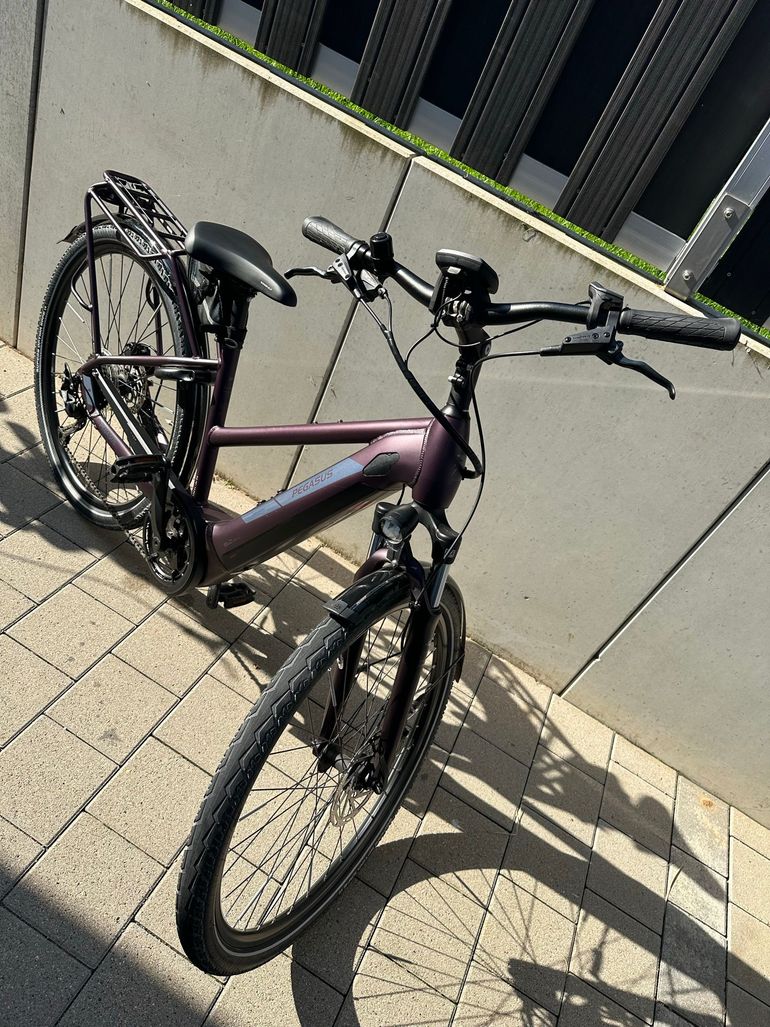 Used Pegasus Solero 9 Trapeze 2023 2023 Urban — image 5 of 8