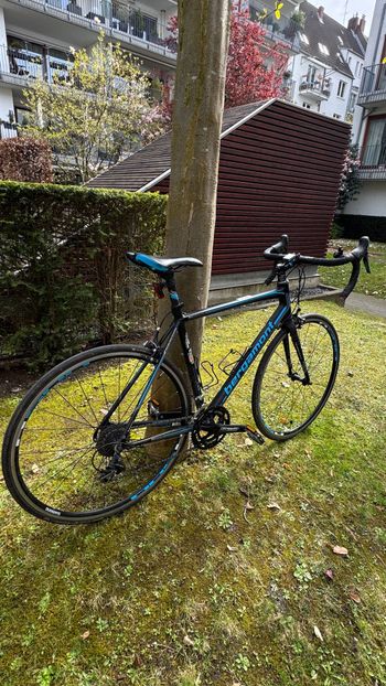 Used Bergamont Bergamont Custom Shimano 105 2016 Road & Gravel, Schwarz — image 2 of 12